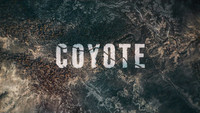 Coyote