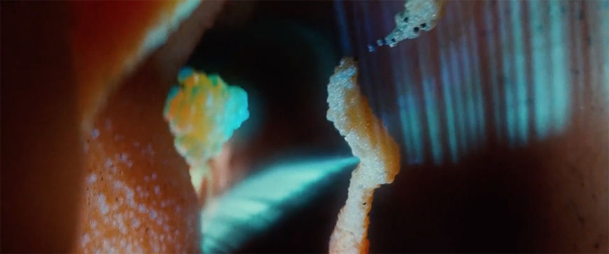 IMAGE: Still 44 - coral looking stuff